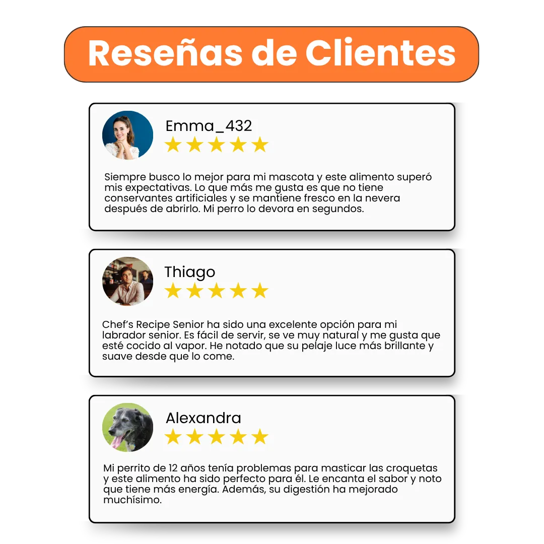 Alimento Húmedo Completo Chef's Recipe Salmón Kanu Pet para Gatos - Image 4