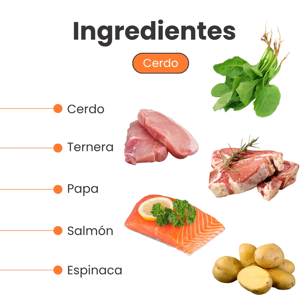 Alimento Húmedo Completo Chef's Recipe Kanu Pet para Perro Senior - Image 3