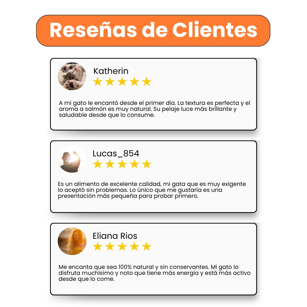 Alimento Húmedo Completo Chef's Recipe Kanu Pet para Perro Senior - Image 4