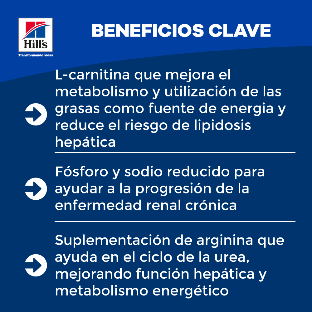 Alimento Húmedo Hills Felino K/D para gato Lata - Image 4