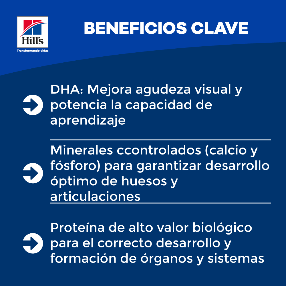 Alimento Húmedo Hills Kitten Pollo Lata para Gato - Image 5