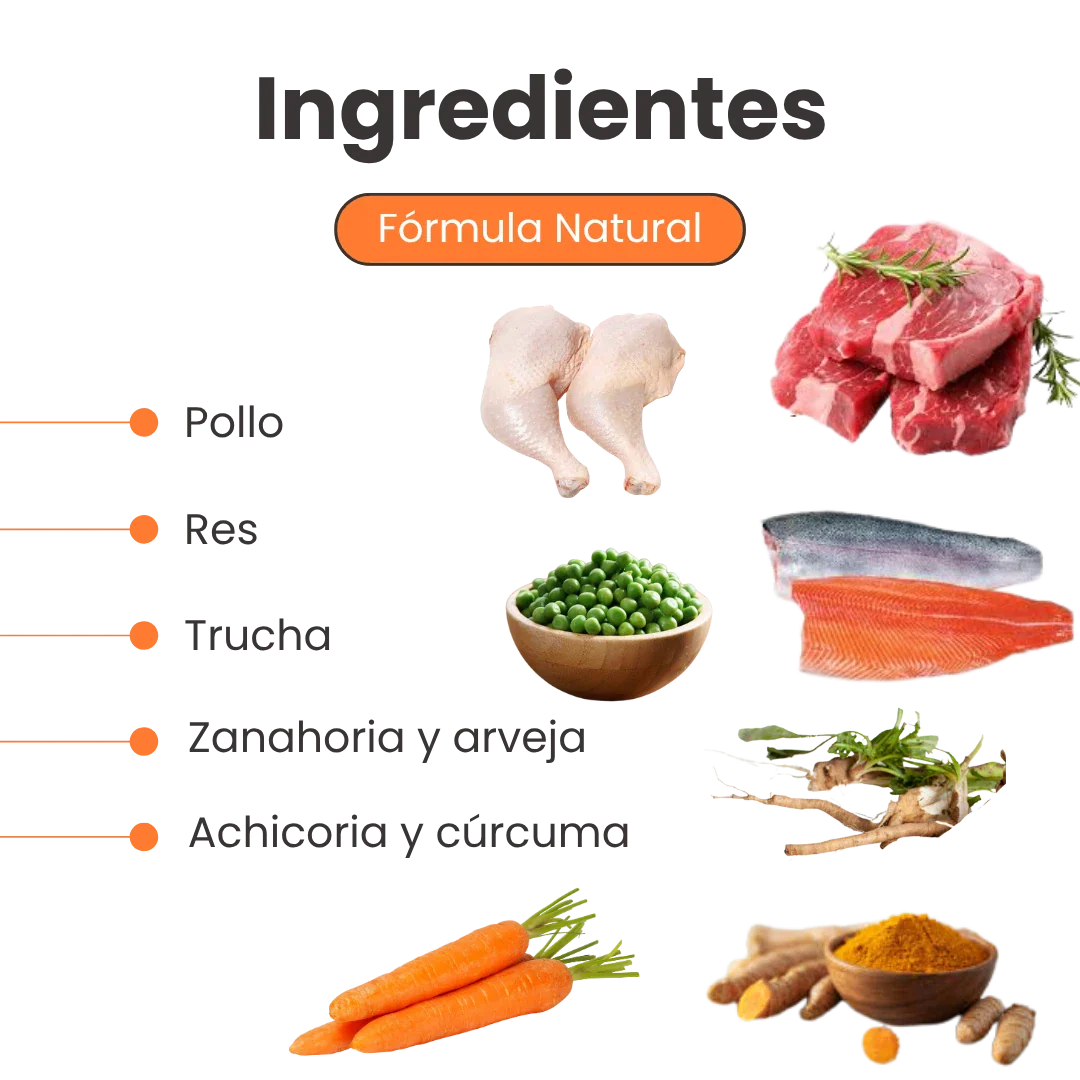 Alimento Húmedo Nativo Chef’s Recipe Yorkshire Terrier Kanu Pet para Perros - Image 3