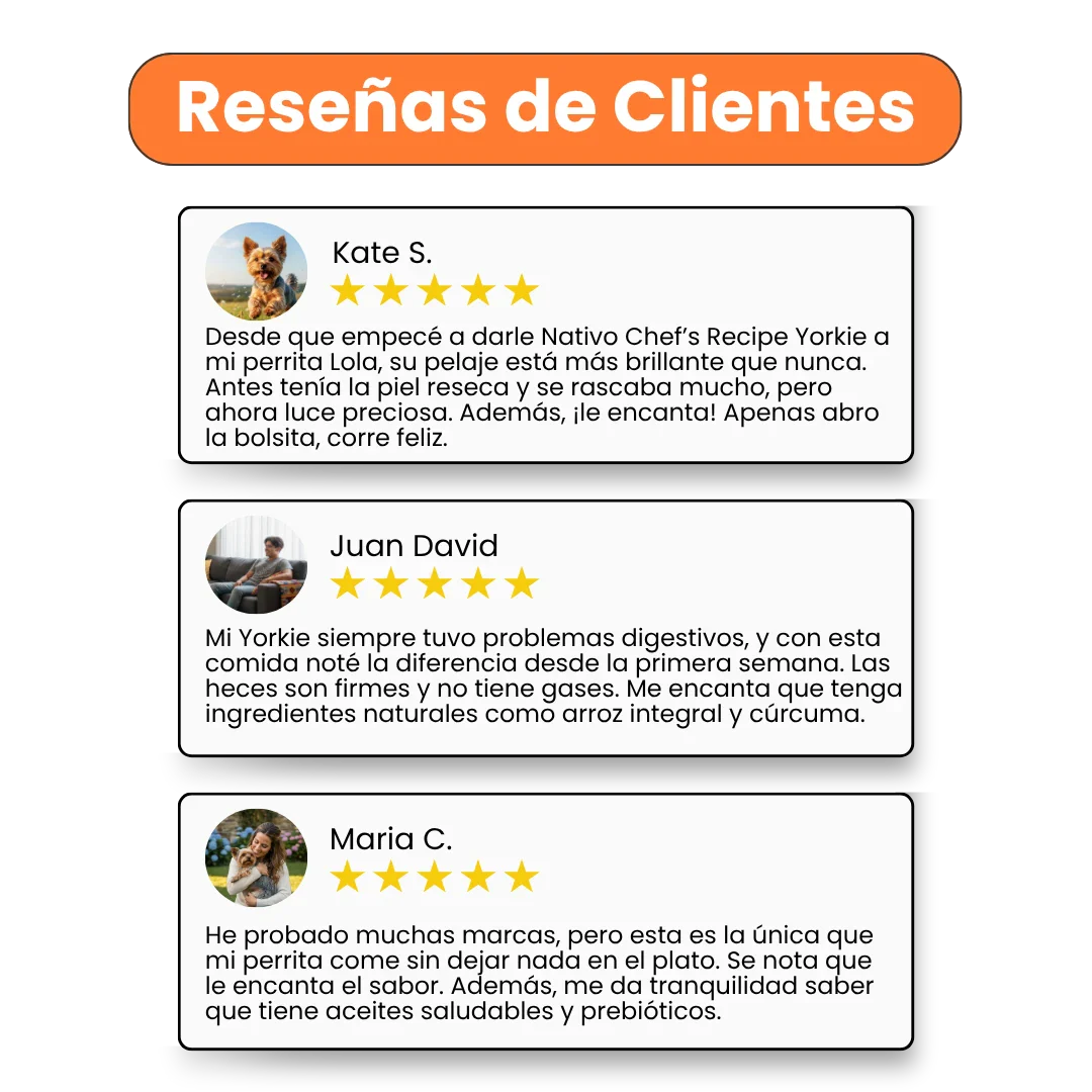 Alimento Húmedo Nativo Chef’s Recipe Yorkshire Terrier Kanu Pet para Perros - Image 5