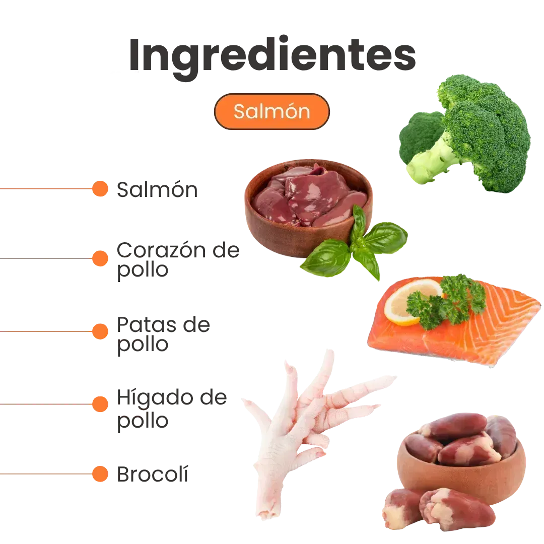 Alimento Húmedo Pate de Salmón Kanu Pet para Gatos - Image 3