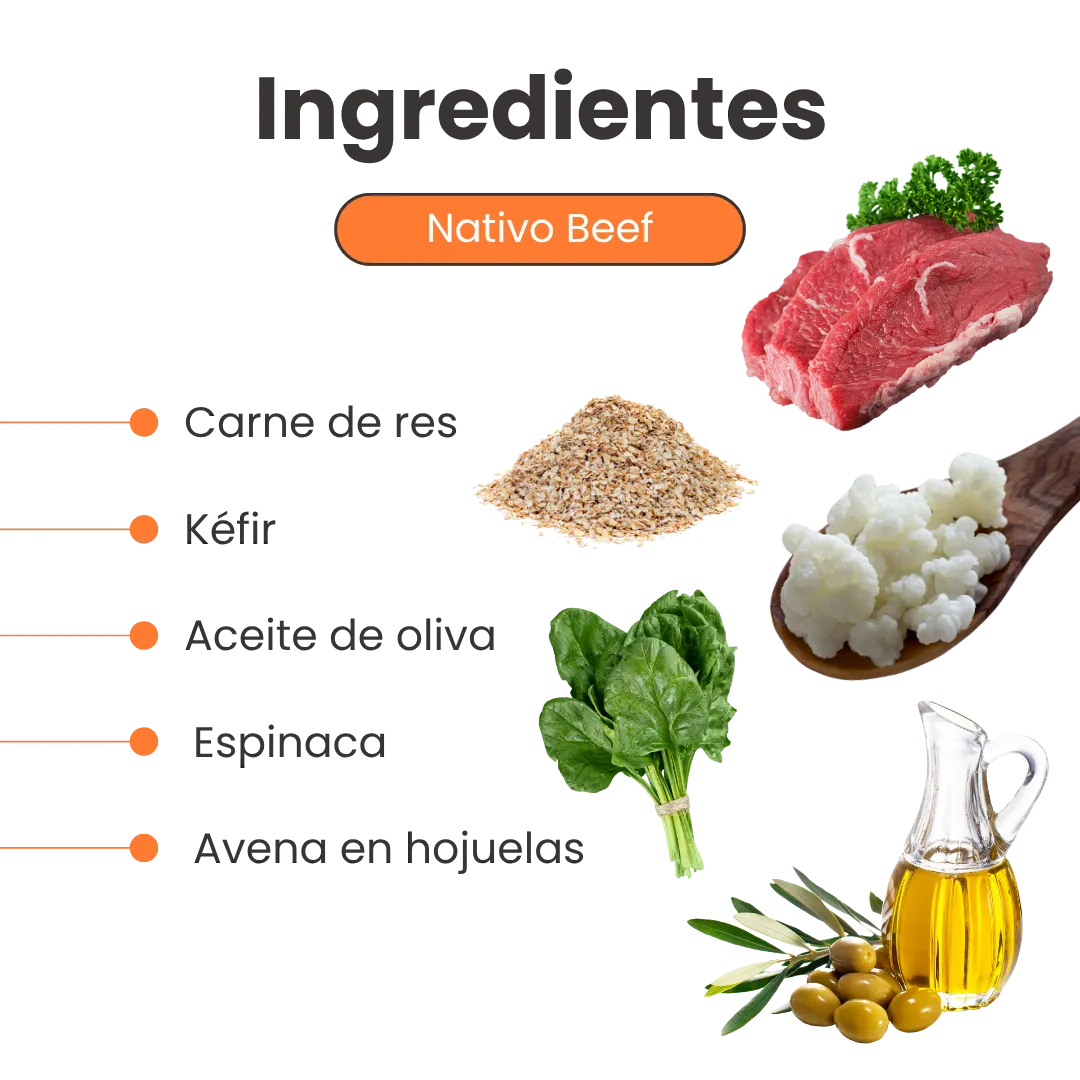 Alimento Húmedo Liofilizado Nativo Beef de Res Kanu Pet para Perro - Image 3
