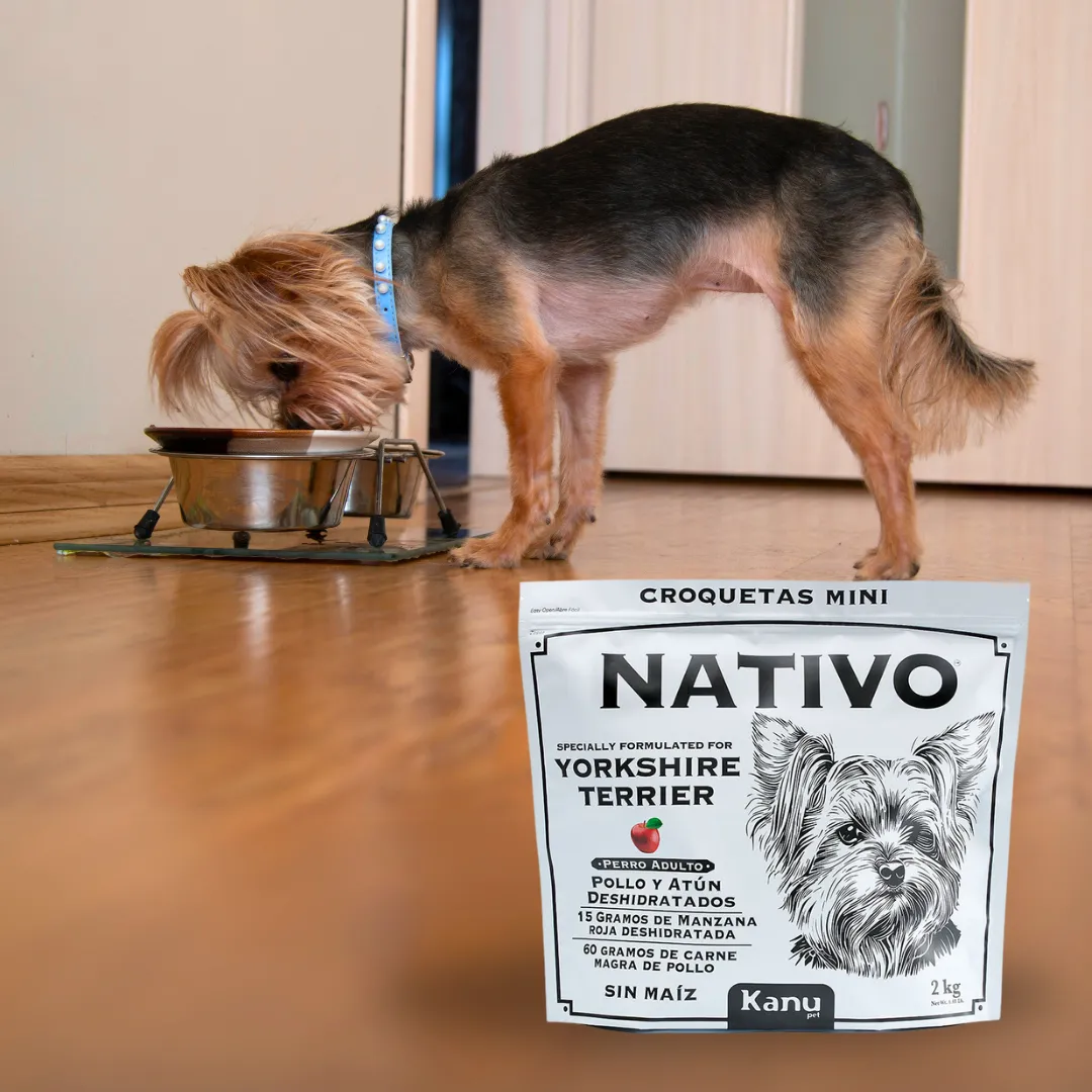 Alimento Seco Nativo Yorkshire Terrier Adulto Kanu Pet para Perro - Image 5