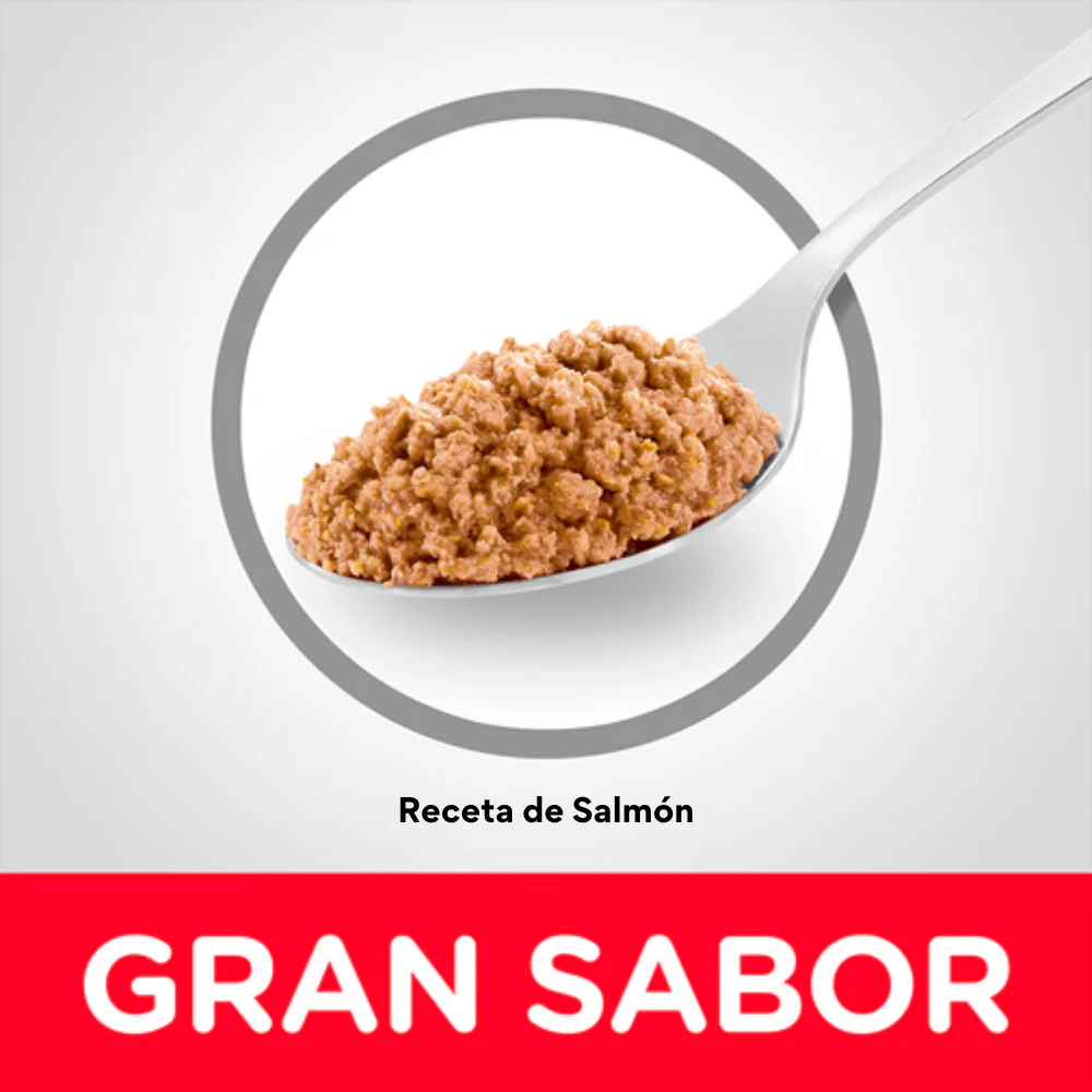 Alimento Húmedo Hills Salmon para Gato Adulto - Image 3