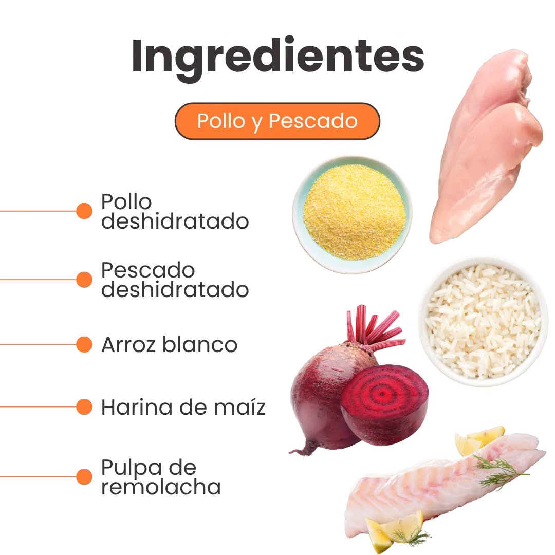 Alimento Seco Nativo Mantenimiento Kanu Pet para Gatitos - Image 3