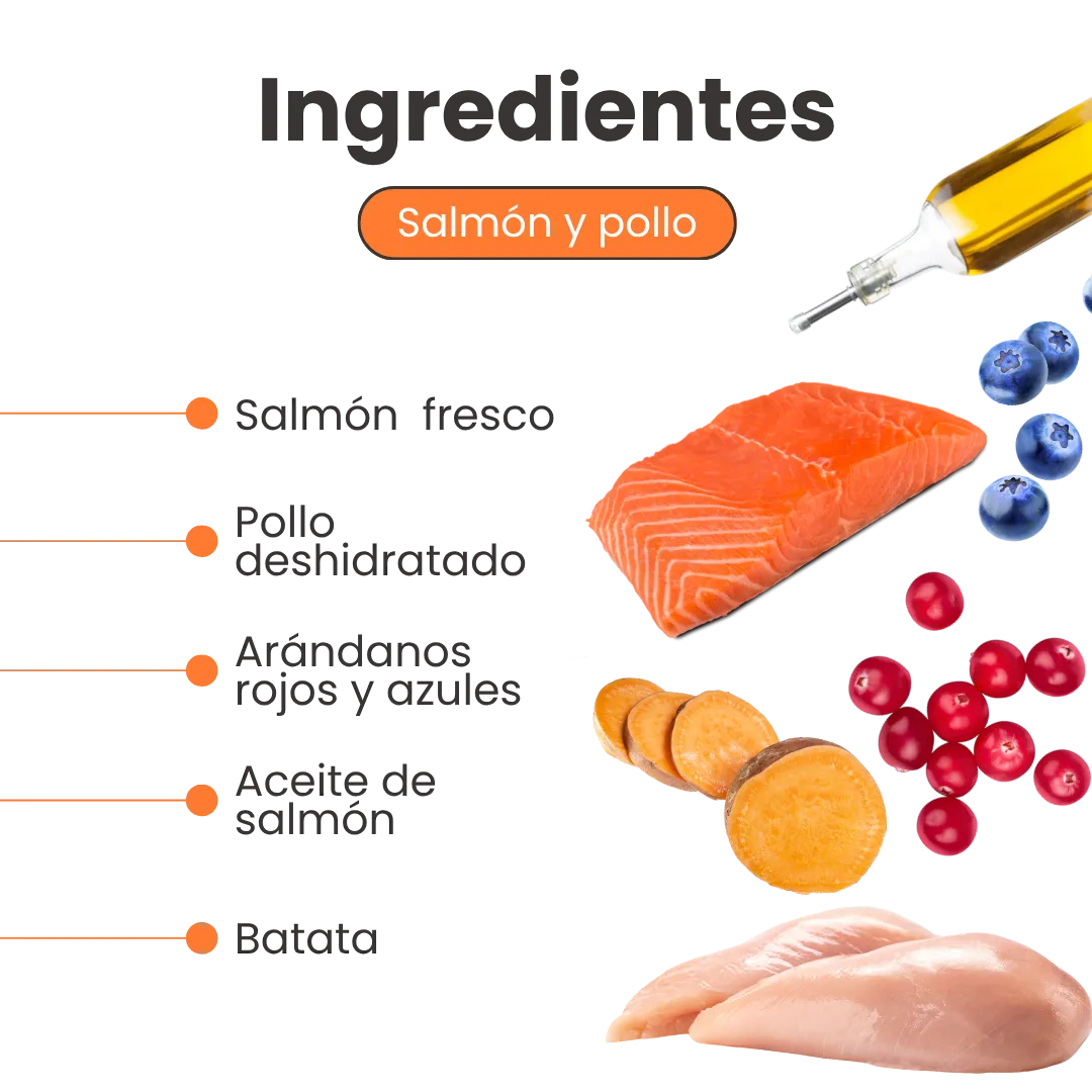 Alimento Seco Grain Free Nativo Wild Kanu Pet para Gatitos - Image 3