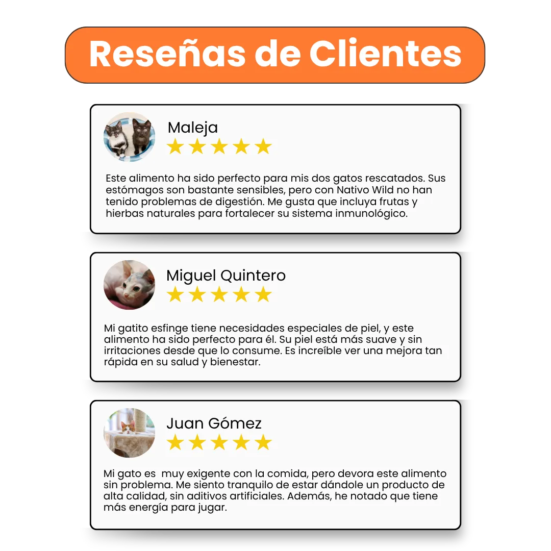 Alimento Seco Grain Free Nativo Wild Kanu Pet para Gatitos - Image 4