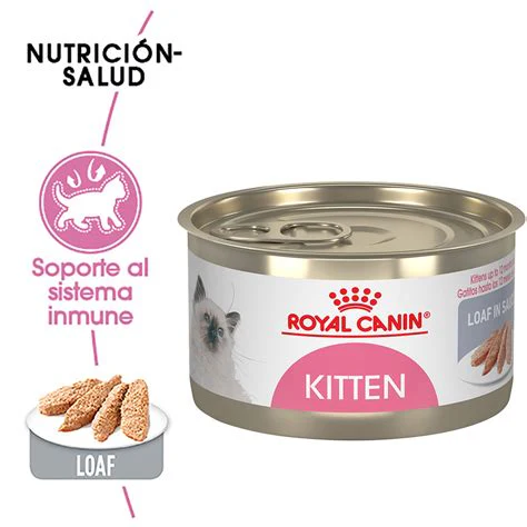 Alimento Húmedo Para Gato Royal Canin Kitten - Image 3