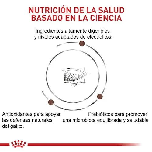 Alimento Para Gato Royal Canin Kitten Gastrointestinal - Image 3