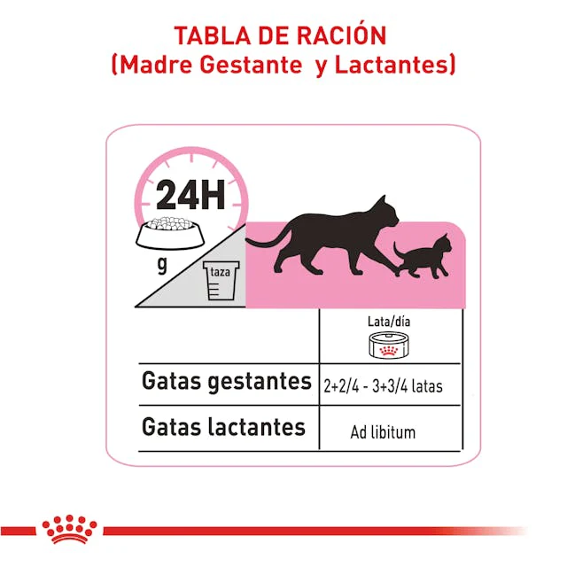 Alimento Para Gato Royal Canin Persa Kitten Especial Pack - Image 3