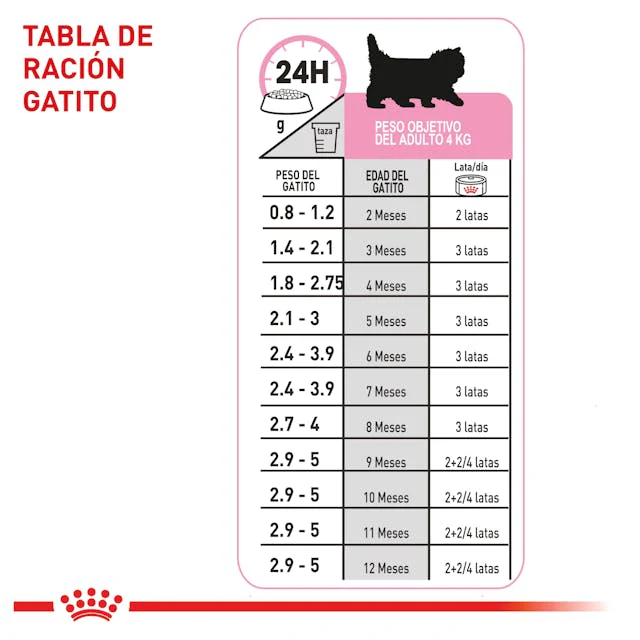 Alimento Para Gato Royal Canin Persa Kitten Especial Pack - Image 4