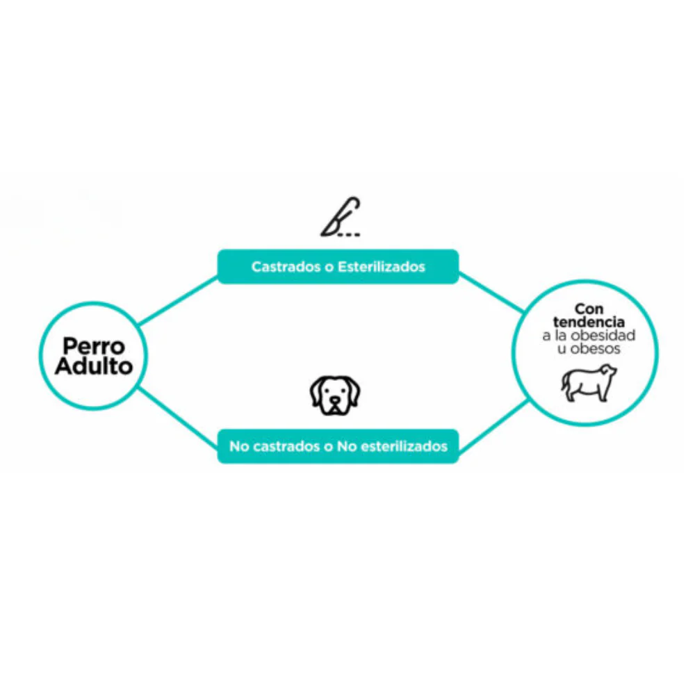 Alimento Seco Agility Gold para Perros con Sobrepeso u Obesidad - Image 3