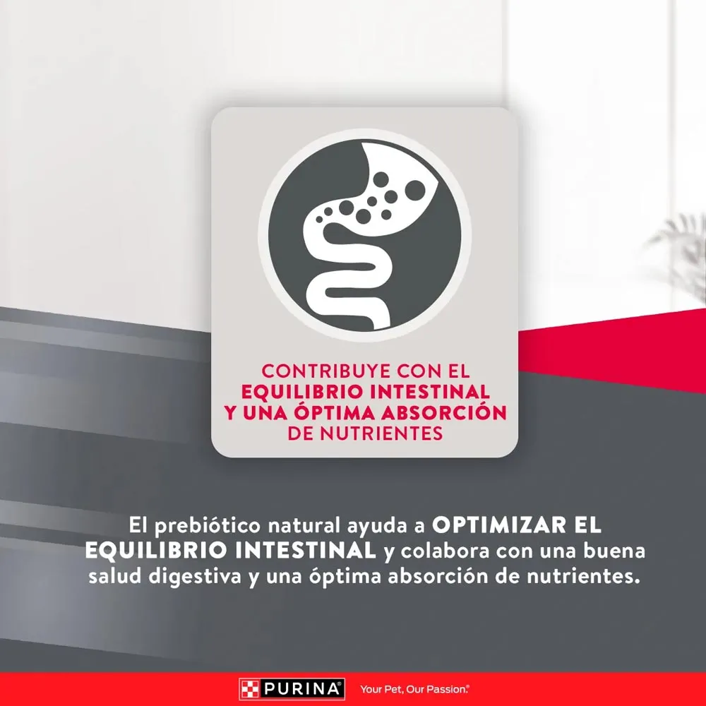 Alimento Excellent Chicken Rice  Para Perro Adulto - Image 6