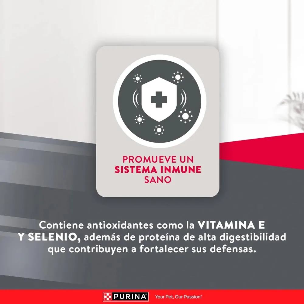 Alimento Excellent Chicken Rice  Para Perro Adulto - Image 7