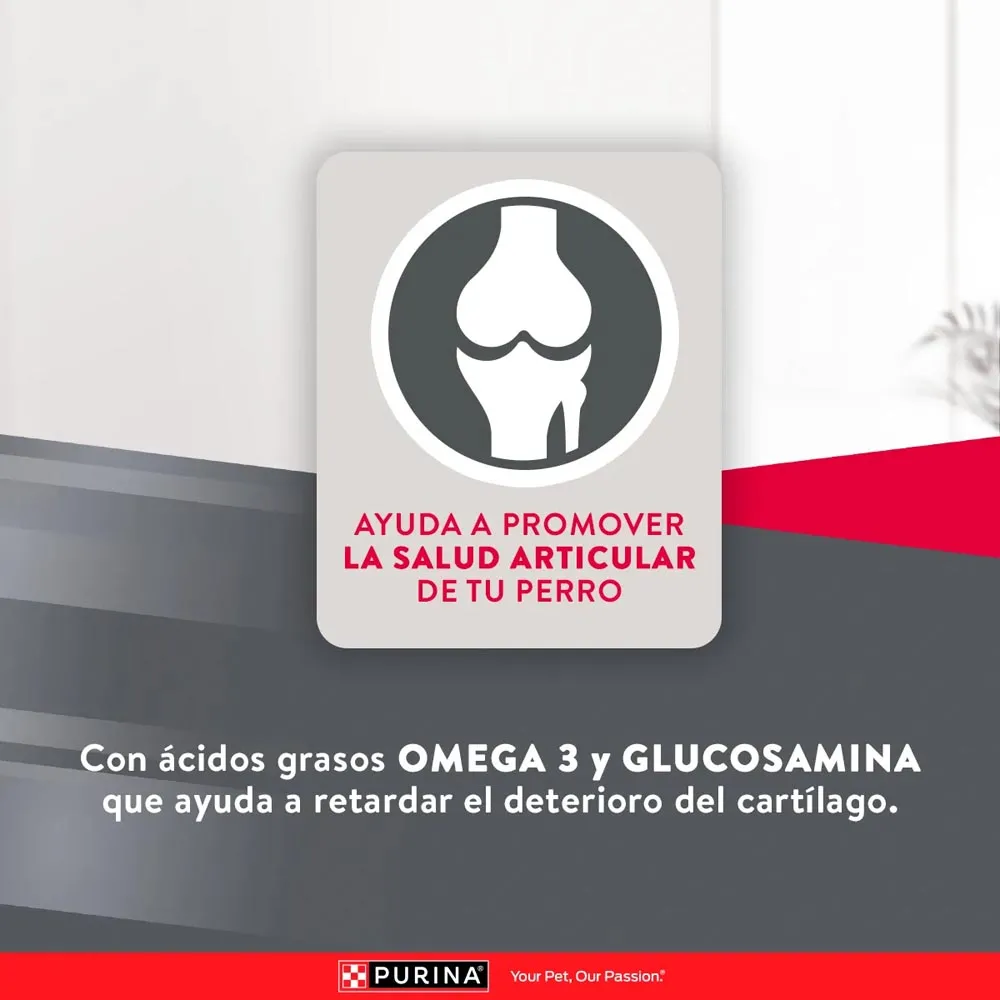 Alimento Excellent Chicken Rice  Para Perro Adulto - Image 8