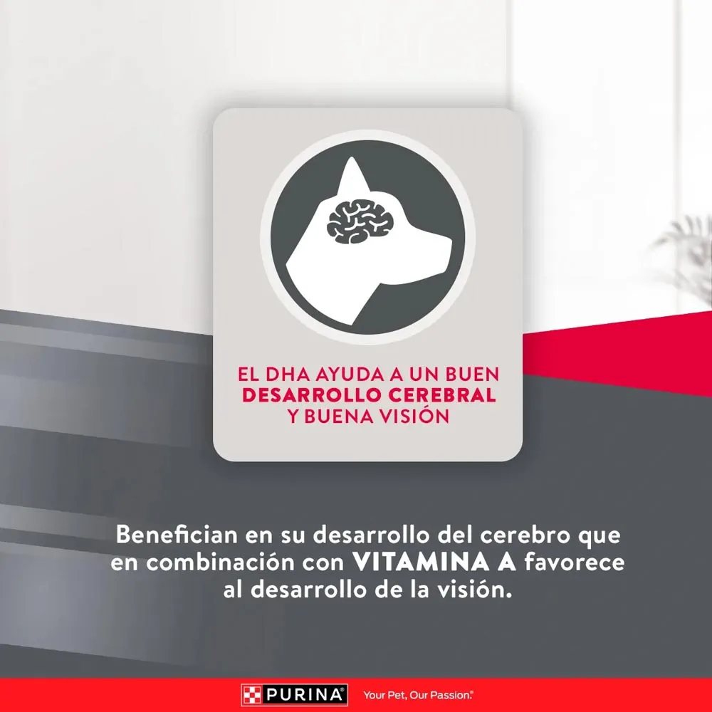 Alimento Excellent Chicken Rice  Para Perro  Puppy - Image 7