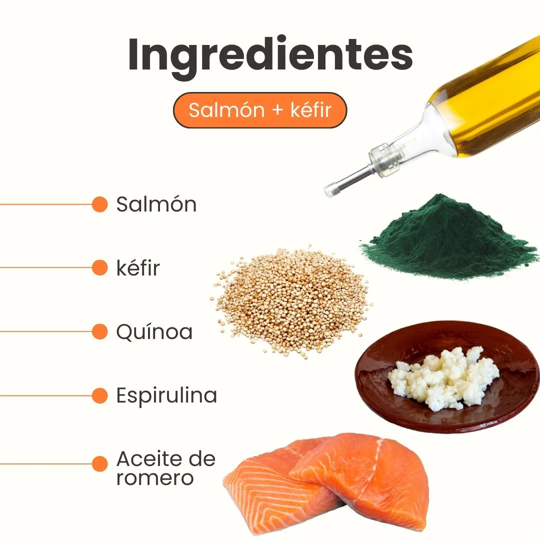 Alimento Liofilizado K-Booster Salmón Kanu Pet para Perro - Image 3