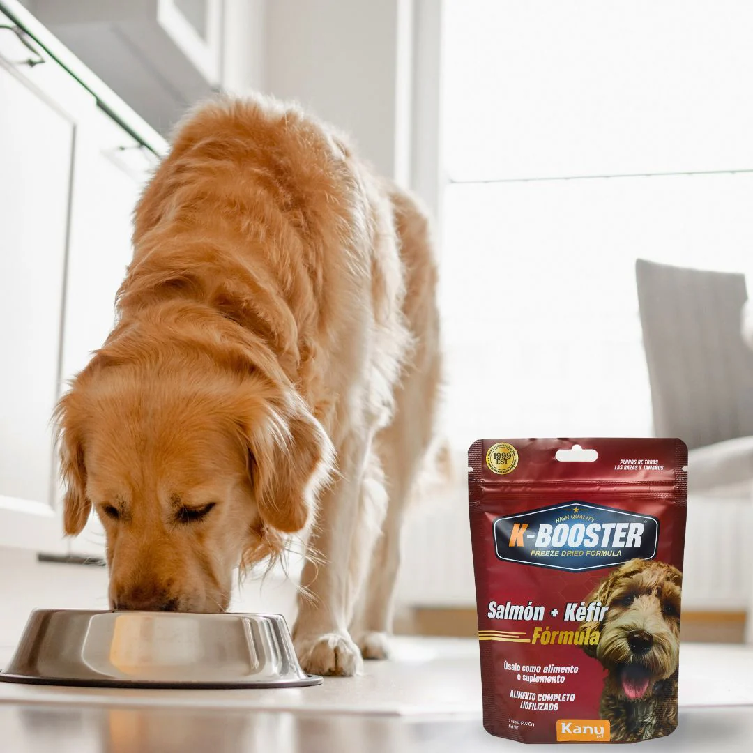 Alimento Liofilizado K-Booster Salmón Kanu Pet para Perro - Image 4