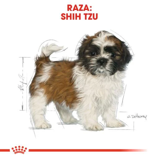Alimento para perro Royal Canin Shih Tzu Cachorro - Image 3