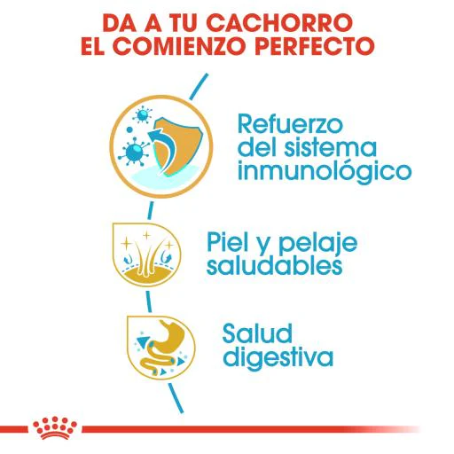 Alimento para perro Royal Canin Shih Tzu Cachorro - Image 6