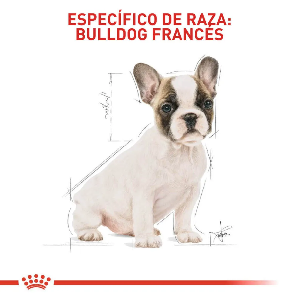 Alimento para perro Royal Canin Bulldog Frances Junior - Image 3
