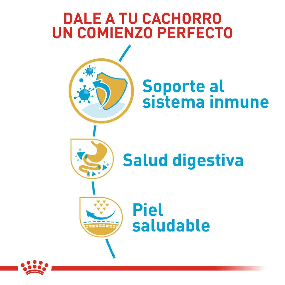 Alimento para perro Royal Canin Bulldog Frances Junior - Image 5