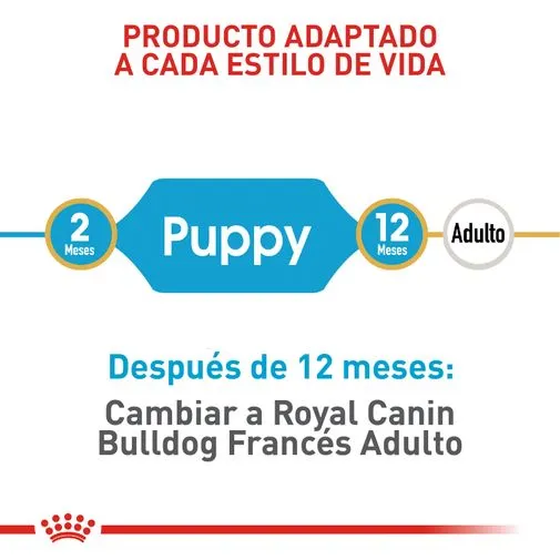 Alimento para perro Royal Canin Bulldog Frances Junior - Image 6