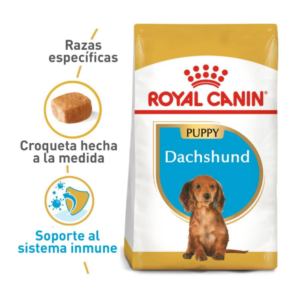 Alimento Para Perro Royal Canin Dachshund Puppy - Image 4