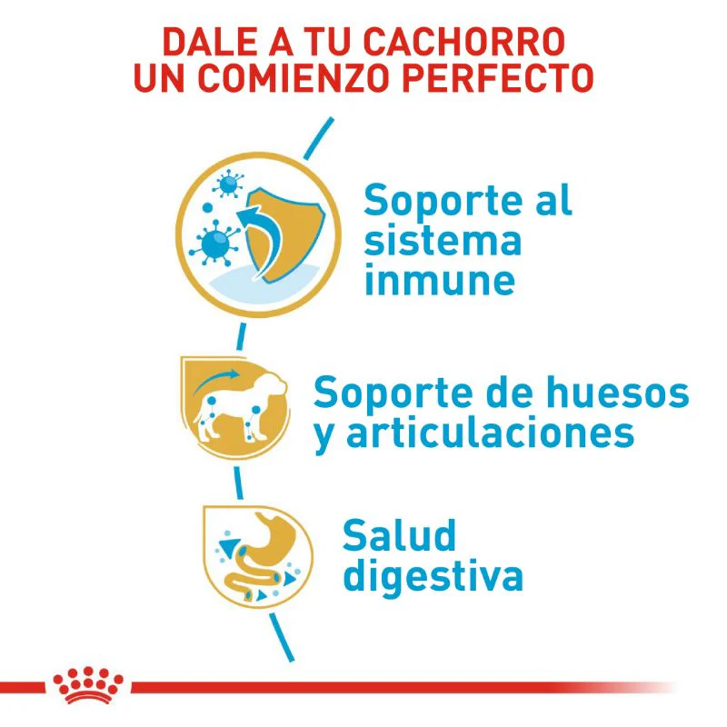Alimento Para Perro Royal Canin Dachshund Puppy - Image 5