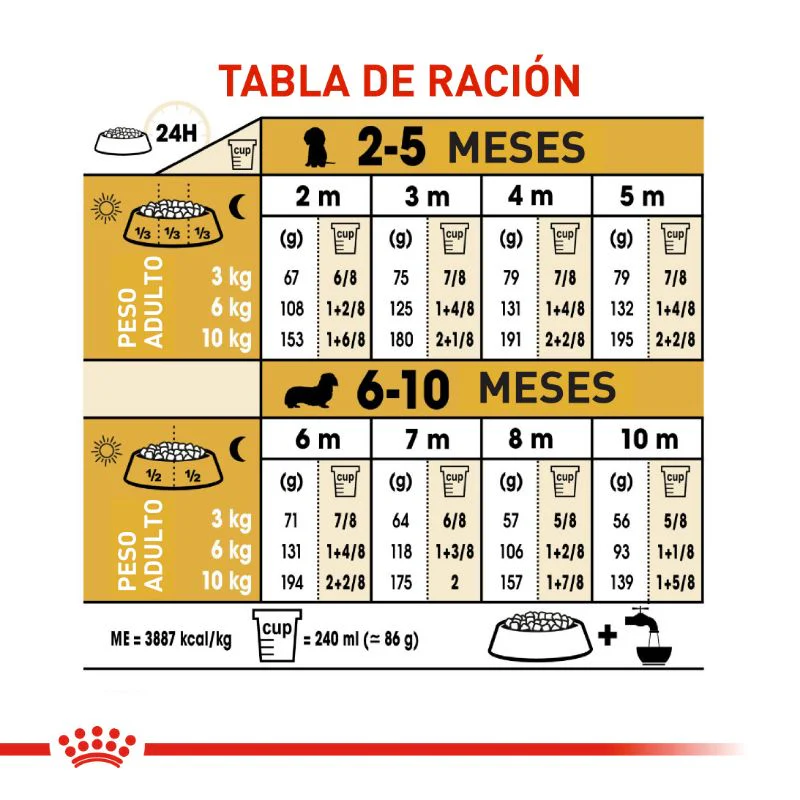 Alimento Para Perro Royal Canin Dachshund Puppy - Image 7