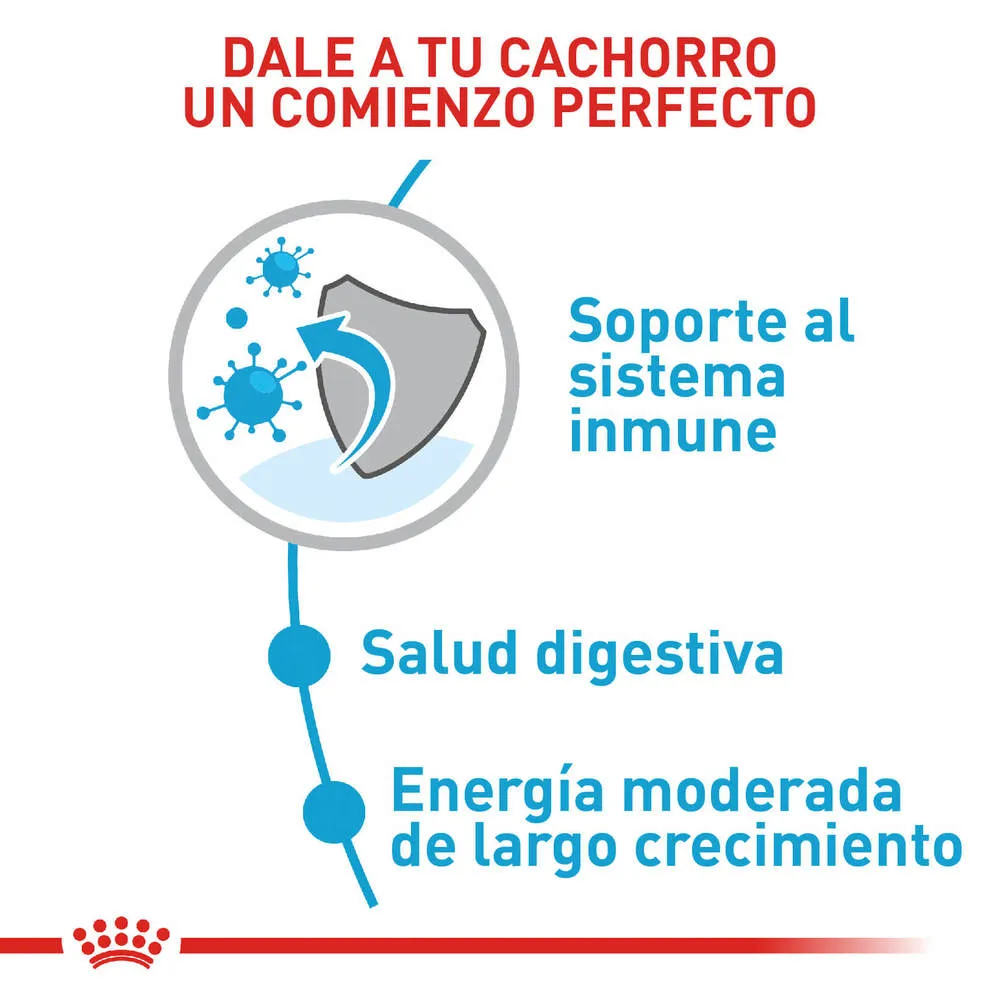 Alimento para perro Royal Canin Maxi Junior - Image 3