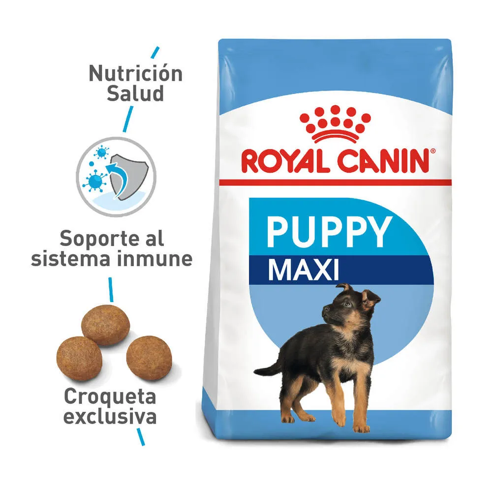 Alimento para perro Royal Canin Maxi Junior - Image 4