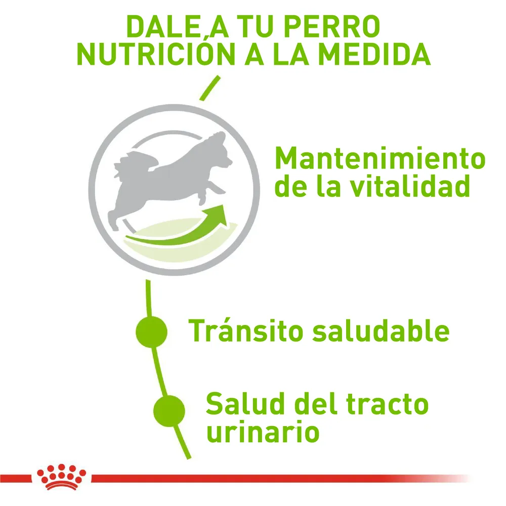 Alimento Para Perro Royal Canin X-Small Adult 8 - Image 3