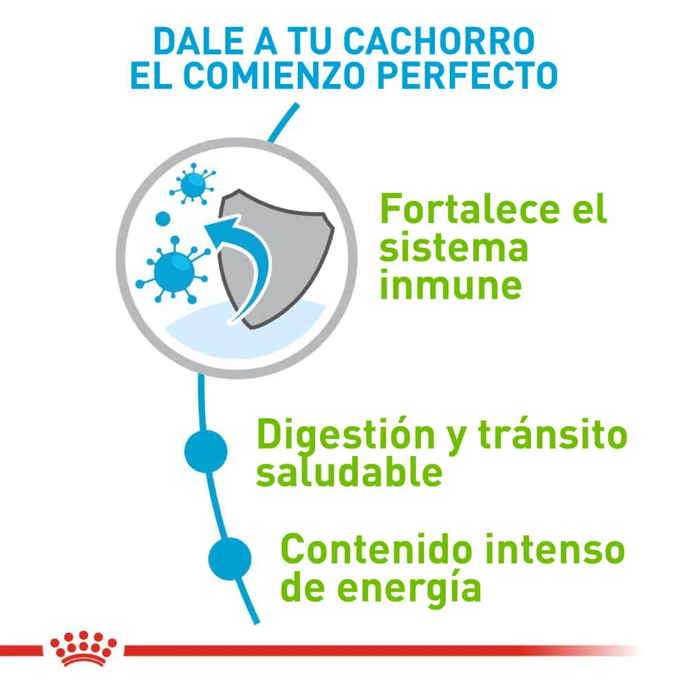 Alimento Para Perro Royal Canin X-Small Puppy - Image 5