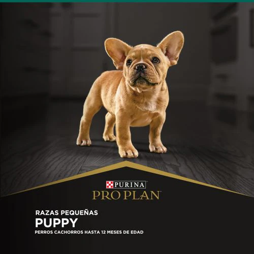 Alimento Proplan para perro Cachorro Razas Pequeñas - Image 4