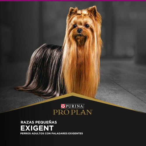 Alimento Seco Proplan Exigent para Perro Small - Image 4