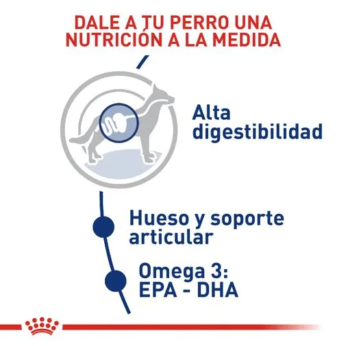 Alimento para perro Royal Canin Maxi Adulto - Image 3