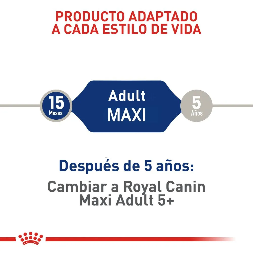 Alimento para perro Royal Canin Maxi Adulto - Image 5