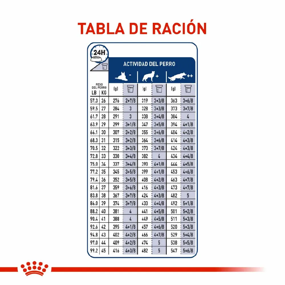 Alimento para perro Royal Canin Maxi Adulto - Image 6