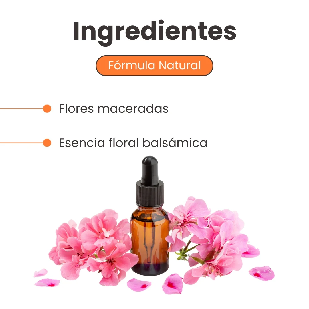 Calming Spray Controla estados alterados o de sensibilidad para Perros y Gatos - Image 3