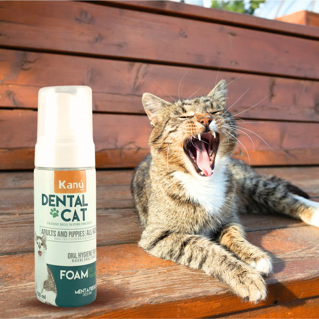 Enjuague Bucal en Espuma Menta  Kanu Pet para Gato - Image 5