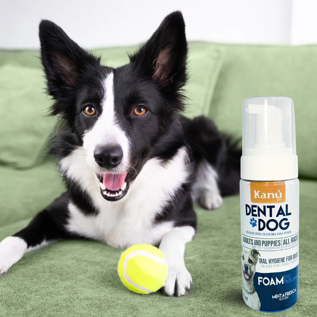 Enjuague Bucal en Espuma Menta Kanu Pet para Perro - Image 5