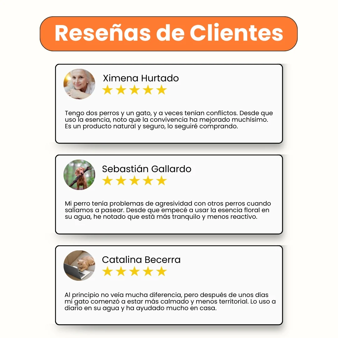 Esencia Floral Agresividad Kanu Pet para Perros y Gatos - Image 4