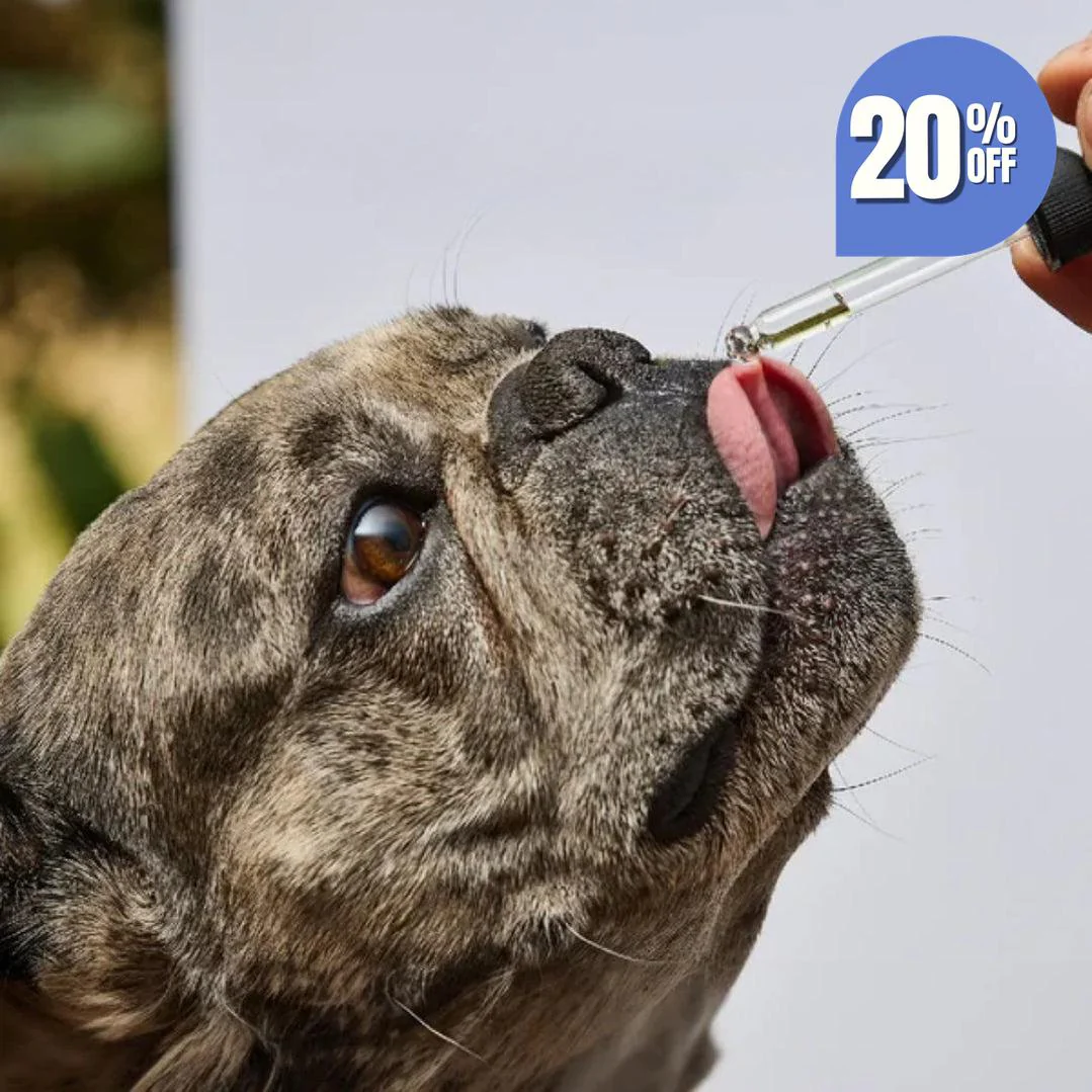 Esencia Floral Sin Estrés Kanu Pet para Perros y Gatos - Image 5