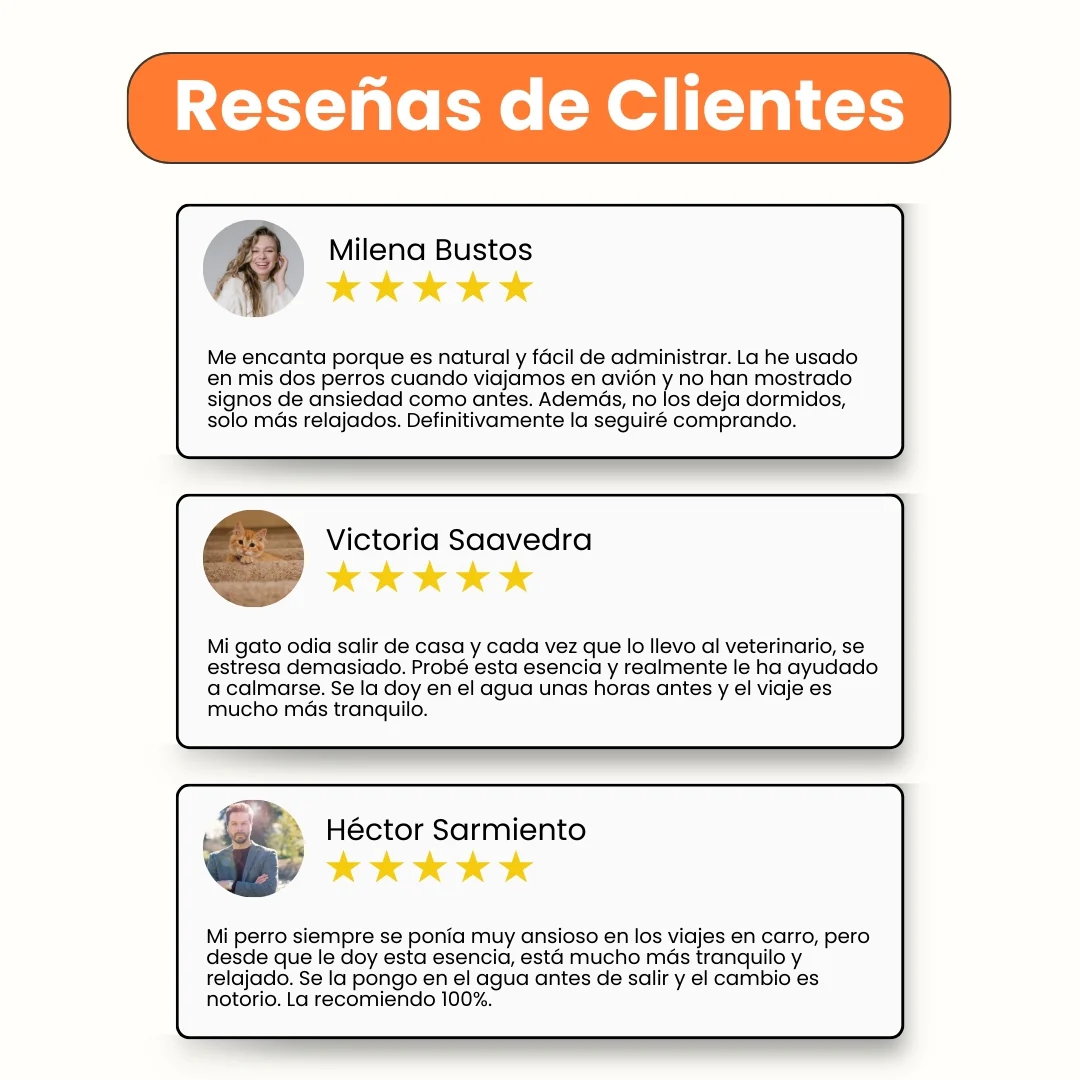 Esencia Floral Viaje Kanu Pet para Perros y Gatos - Image 4