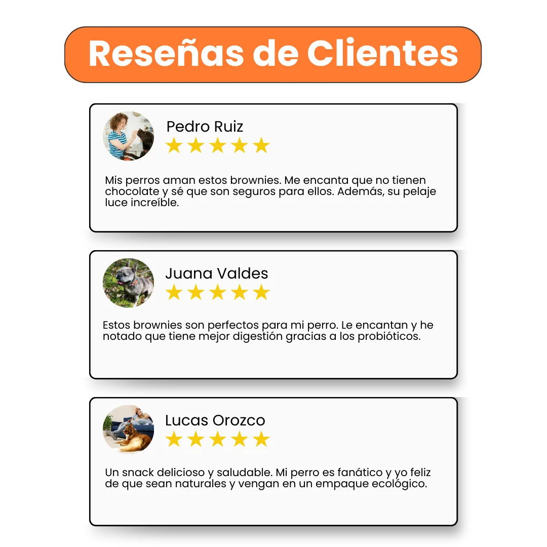 Galletas Brownies Kanu Pet para perros - Image 4