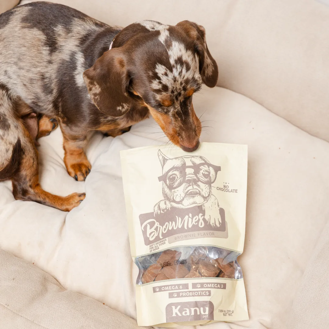 Galletas Brownies Kanu Pet para perros - Image 5